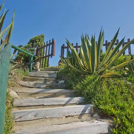 Apartment Dunas De - Beachfront 3 Bed *